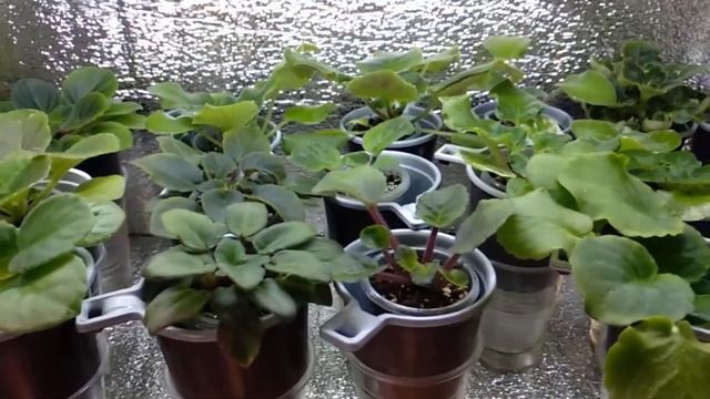 Мой новый маленький стеллаж. смотреть онлайн