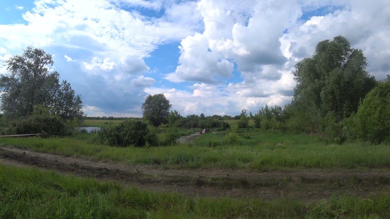 C0036 смотреть онлайн