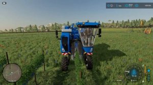Виноград, как проще ухаживать за ним, и расчёты, Farming Simulator 22