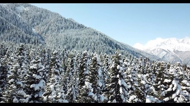 Racha Shovi Wanderland смотреть онлайн