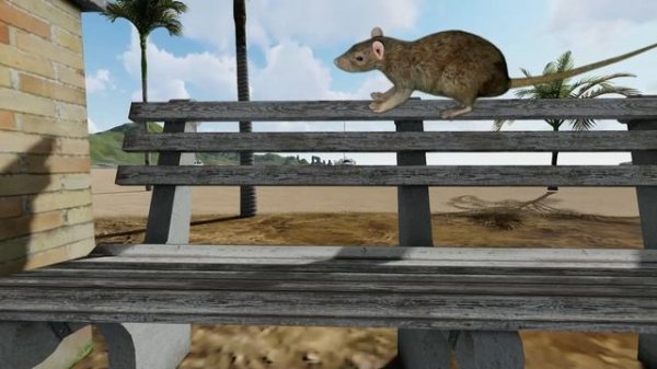 CAT GAMES l Cat game catch the bigmouse | CAT TV | 10 min. (side view)