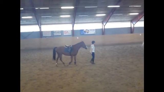 elmer i braås смотреть онлайн