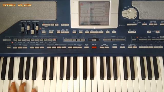 StarDoğu.Set Korg Pa800 256MB Doğu Halay Kurdish Set - Piyanist Rıdvan 2/4 Ritim Tanıtım 1 2022 смотреть онлайн