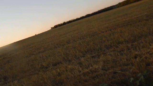 СЕЛО КОДЕНЦЕВО ПРИКЛЮЧЕНИЯ МАШКИНЫ В ГРУШКАХ НА ПРУДУ 17 АВГУСТА 2024 год ☀️☀️☀️☁️☀️ смотреть онлайн