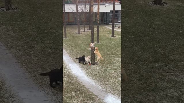 бесстрашен смотреть онлайн