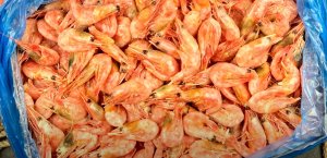 Как добывают северную креветку/ Как это делается