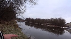 Открытие фидерного сезона 2021. Ловля на фидер весной 2021