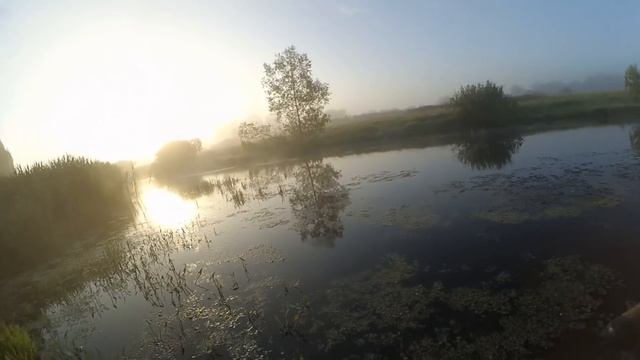 Эта мышь сводит щук с ума/Ловля щуки в июне на спиннинг смотреть онлайн