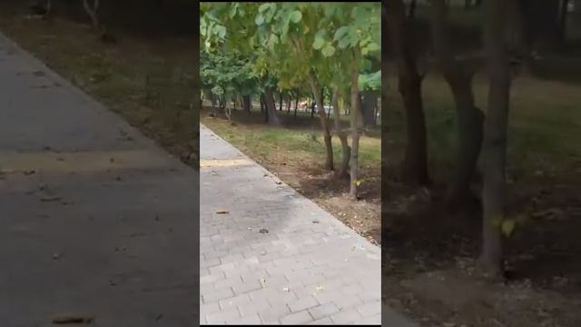 6 А класс. Петросян Жанета. Любимое место в Ростове-на-Дону смотреть онлайн