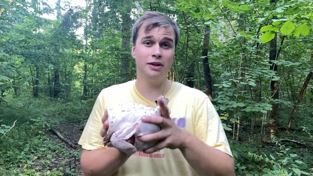 ВЫЖИВАЕМ В ЛЕСУ с Александром Мочегонским | Что делать, если ты заблудился смотреть онлайн