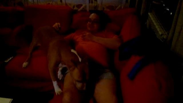 Стафорд сосёт у очкарика смотреть онлайн