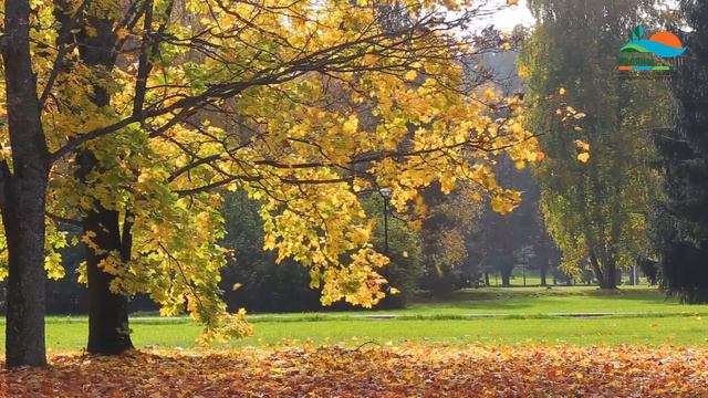 Пансионат "Поляны" смотреть онлайн