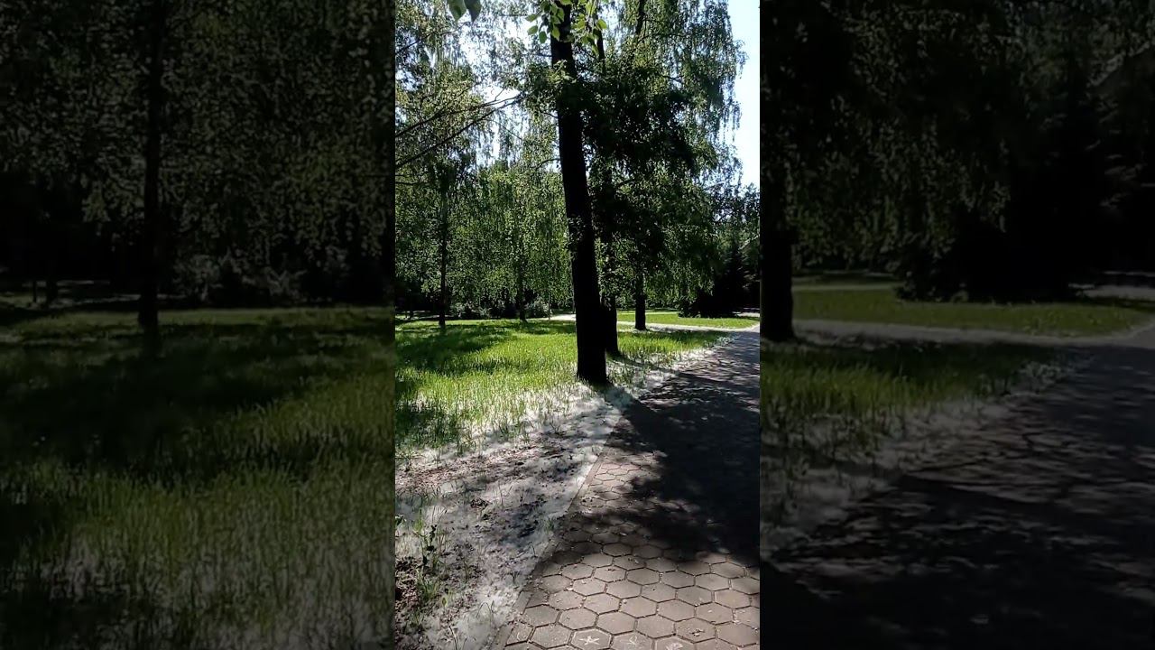 В старом парке. Лето. Июнь 2024 г. смотреть онлайн