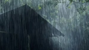 Мягкий дождь в лесу без грома. Засыпай за 5 минут. Звуки дождя для сна