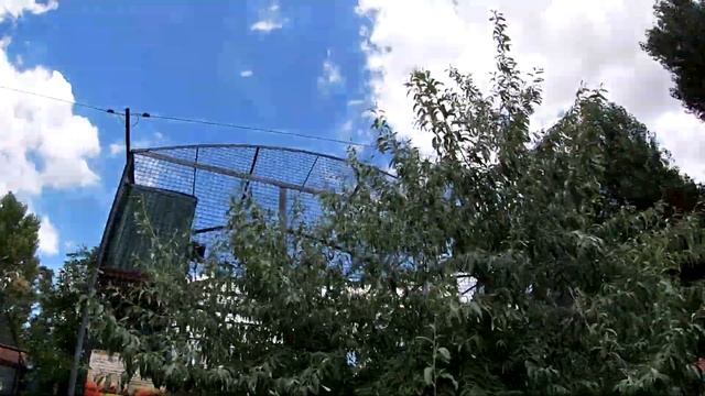 Волчица ЕВА в парке ТАЙГАН ,родная сестра Акелы. Обзор парка в КРЫМУ. смотреть онлайн