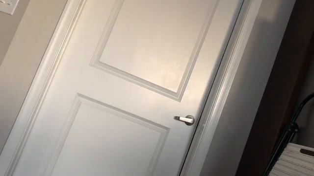 MCR is back смотреть онлайн