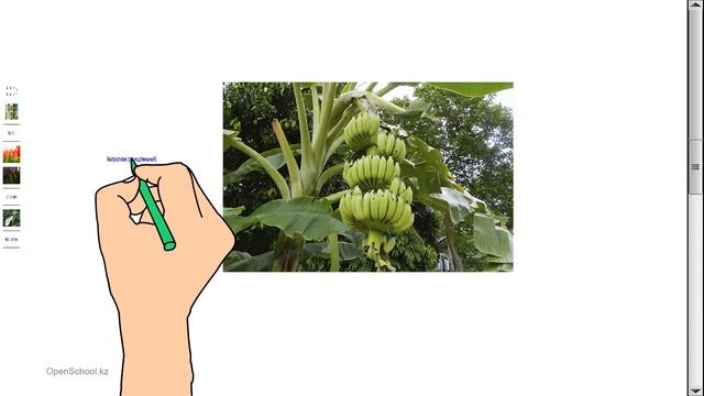 Движение растений Мендигазиева Акмарал Аскеровна смотреть онлайн