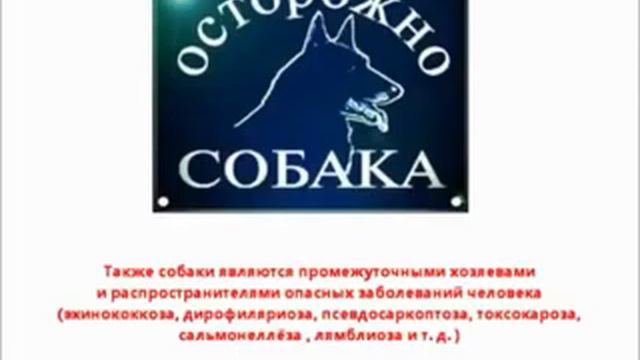 Ответ на сложный вопрос христианина смотреть онлайн