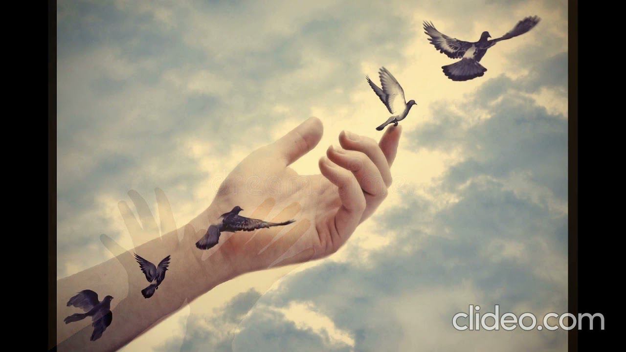 молчали б лучше смотреть онлайн