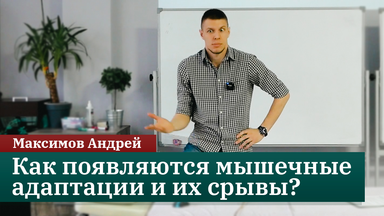 Как появляются мышечные адаптации и их срывы? Агонисты, антагонисты и синергисты. Максимов Андрей смотреть онлайн