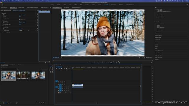 How to Downscale 4k Footage to 1080p in Adobe Premiere Pro (Set vs Scale to Frame Size) смотреть онлайн