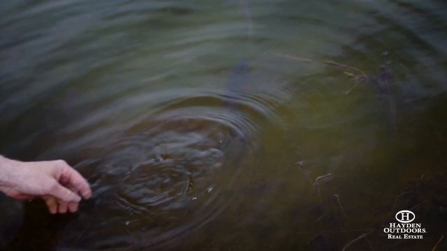 COCHETOPA DOME RANCH смотреть онлайн