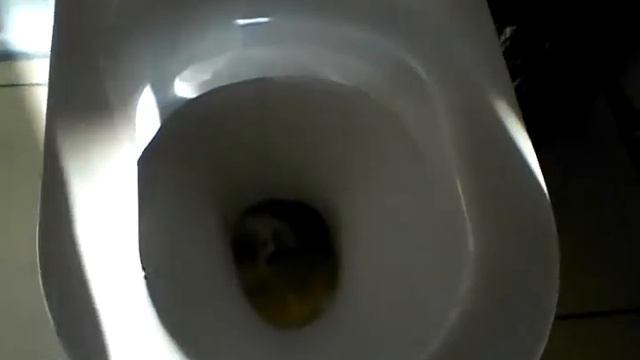 тихий ужас в мужском туалете Бердского Политехнического Колледжа!!! смотреть онлайн