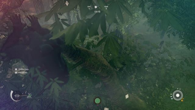 Ancestors: The Humankind Odyssey - 100% Walkthrough Part 2 [PS4 Pro] – Meteorite смотреть онлайн