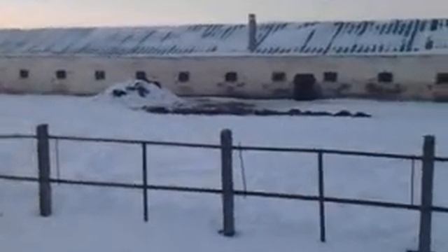 кони в яблоках по нижегородски смотреть онлайн