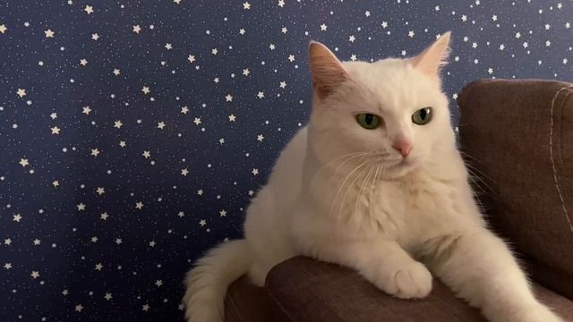 Семейная видеосъёмка ❤️ смотреть онлайн
