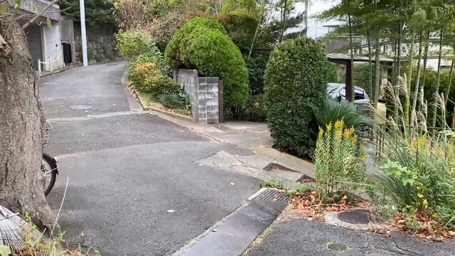 【北鎌倉エリア賃貸物件】台４丁目 眺望良しの土地（古家あり）｜6250 смотреть онлайн