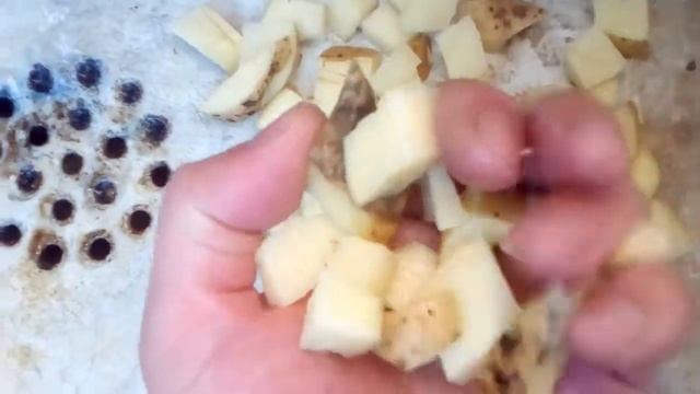 Как и чем помыть большой бутыль с узким горлышком 20л, 10л, 5л смотреть онлайн