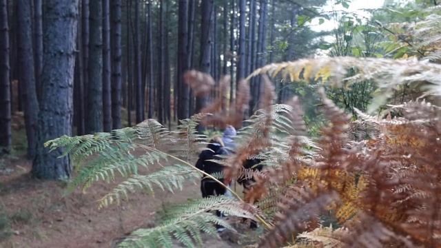 SlowMo test Canon G5X mk ii - Full HD 120 fps video slow motion sample. смотреть онлайн