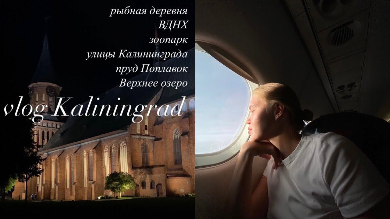 vlog 1. Калининград смотреть онлайн
