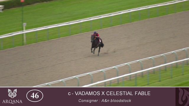 2023 Summer Sale - Lot 46 c. VADAMOS x CELESTIAL FABLE смотреть онлайн