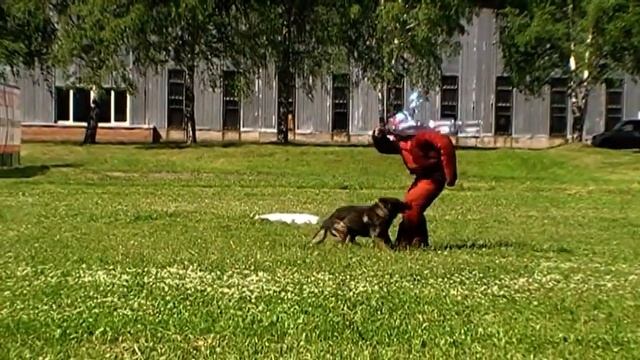 Живая Сила Ювер смотреть онлайн