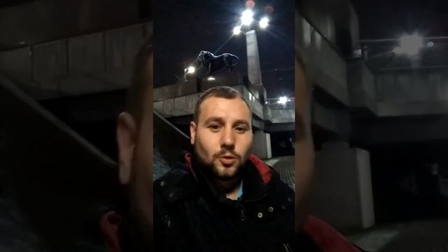 Поданы документы на выдвижение кандидатом в депутаты. смотреть онлайн