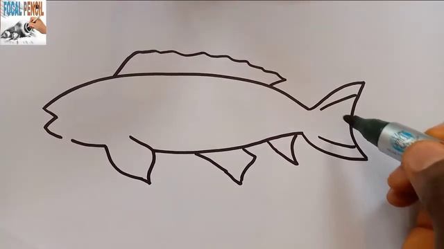 How To Draw A Carp Step By Step