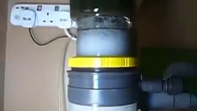 Macro Protein Skimmer After 24 Hours смотреть онлайн