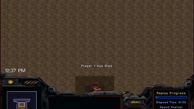 Starcraft Cat n Mouse Pyloning 3 смотреть онлайн