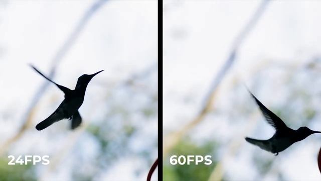 Kandao QooCam EGO | Viewer-Integrated 3D Camera