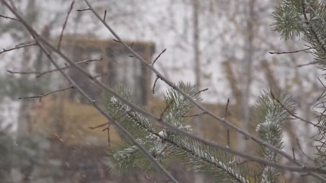 Подготовка Лыжной трассы к ГТО смотреть онлайн