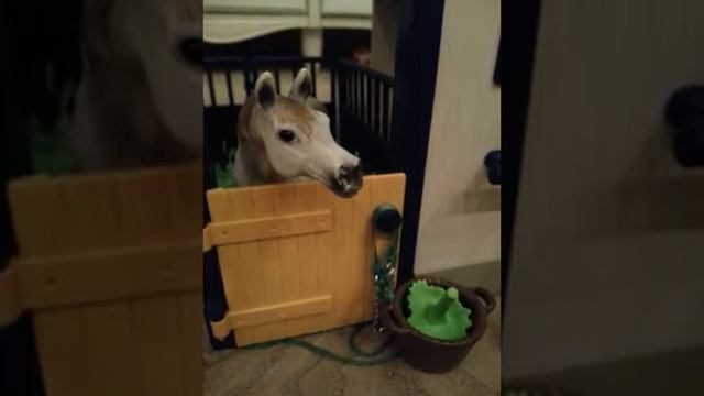 Что наши лошади думают по поводу поездки Афродита смотреть онлайн