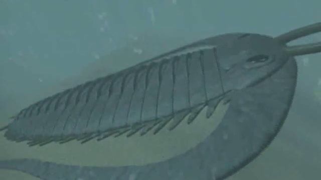 Hashim - Primrose Path