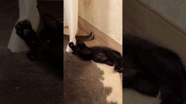 Бенчик ВЫРОС????