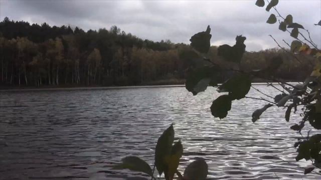 Konica C35 AF2 Film Camera Review (+Photos) !BACK TO ANALOG! #9 смотреть онлайн