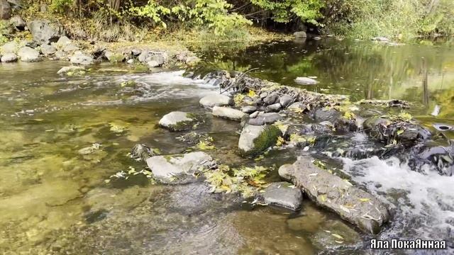 Истории из жизни. Как чемодан с оторванной ручкой смотреть онлайн