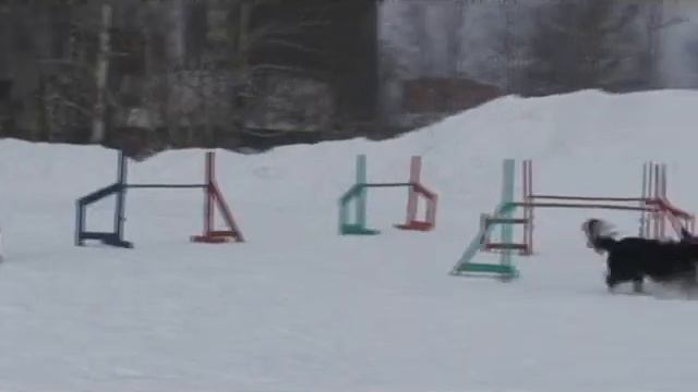 Уникум 2011_03_13 разминка.mp4 смотреть онлайн