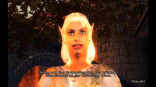 Part 070 Let's Play The Elder Scrolls IV: Oblivion - BLIND - Medieval p0rn book смотреть онлайн