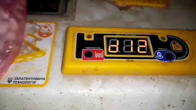 Что делать чтобы неслись перепела.Часть 4.Режим инкубации с 10 по 15 день смотреть онлайн